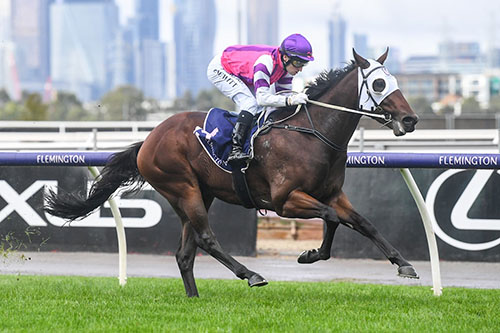 IMMORTAL LOVE REMAINS UNBEATEN AFTER STUNNING FLEMINGTON WIN..